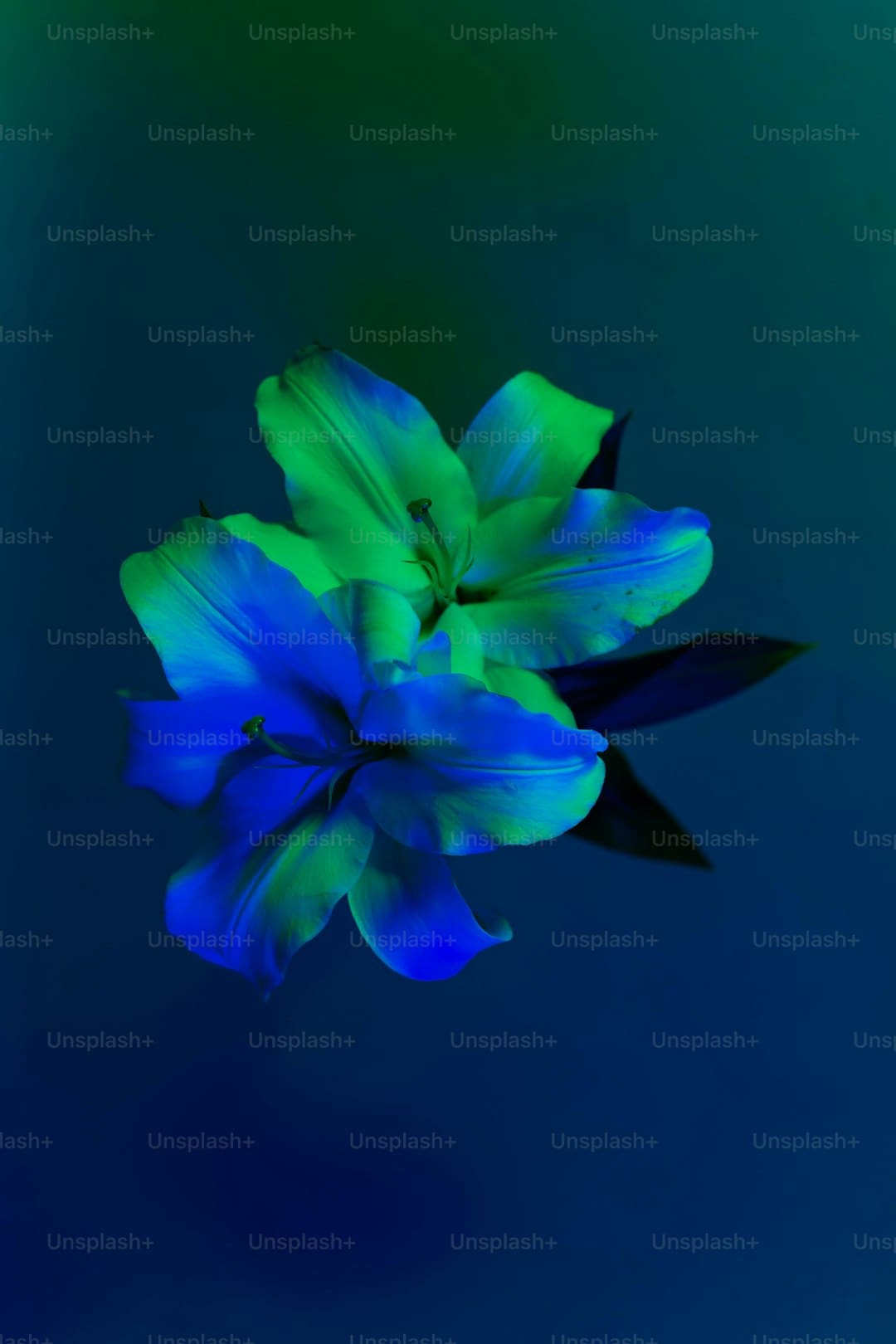https://img2.utuku.imgcdc.com/640x0/news/20250905/ad3693d0-cfd7-4f76-9586-2ead4964972a.jpg